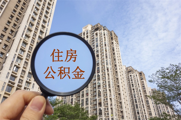 朝阳辞职多久公积金可以全部取出来吗（辞职之后公积金多长时间可以取）